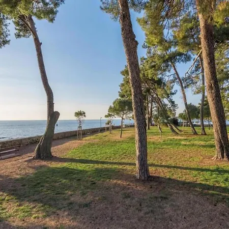 In Novigrad With Sea Views & Pool Apartman